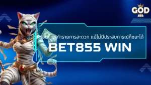 855play สนุกสุดมันส์ ตัวเลือกการเล่นเยอะ เล่นได้ไม่มีเบื่อ